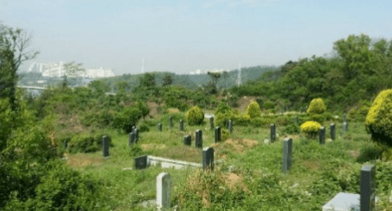 이동공설묘지(만장) 사진