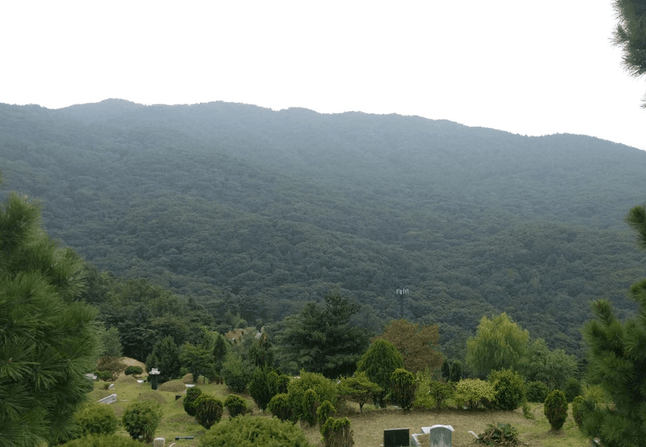 용산성당 청계묘원 시설 사진