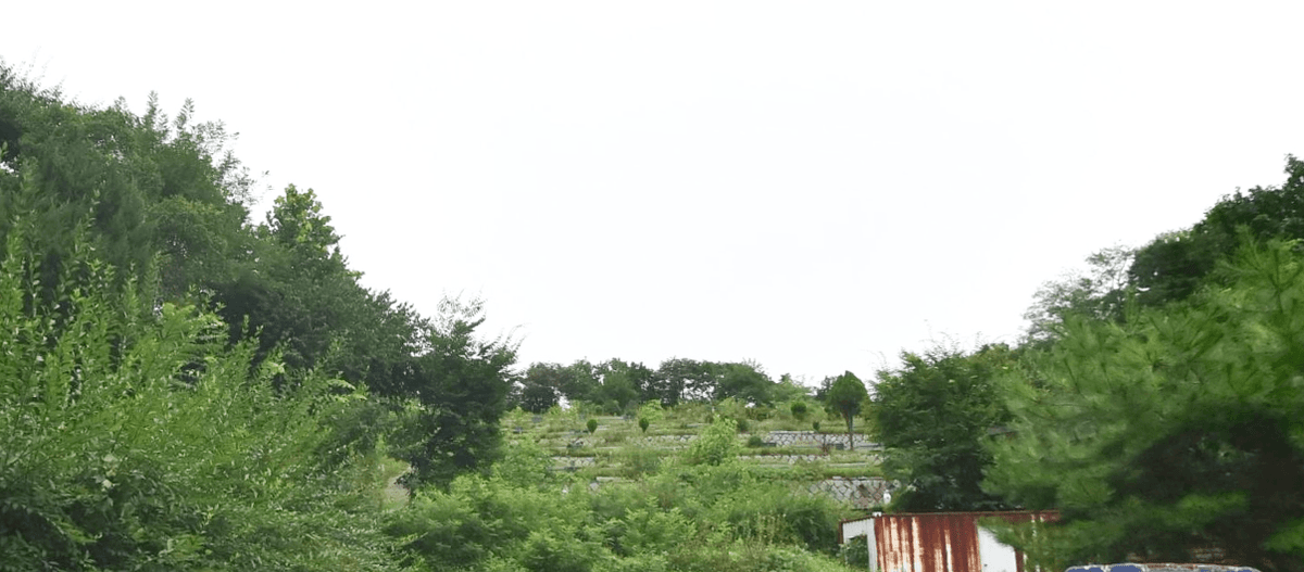 천주교혜화동성당 포천묘원 사진