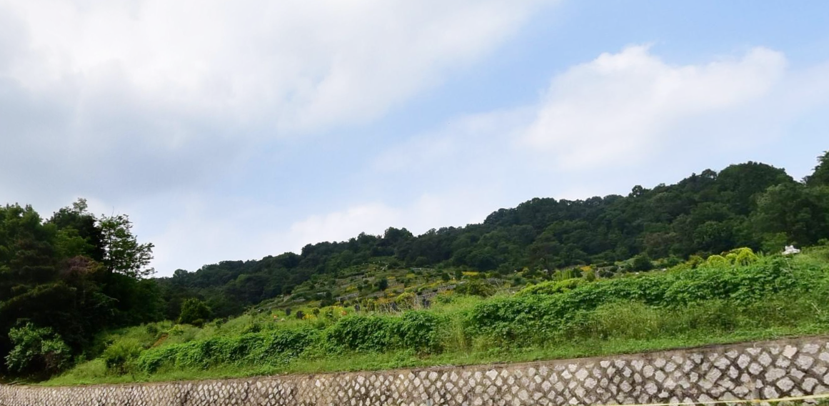 내유동공설묘지(만장) 사진