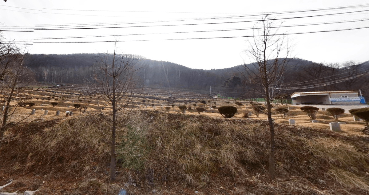 옥천군공설자연장지 사진
