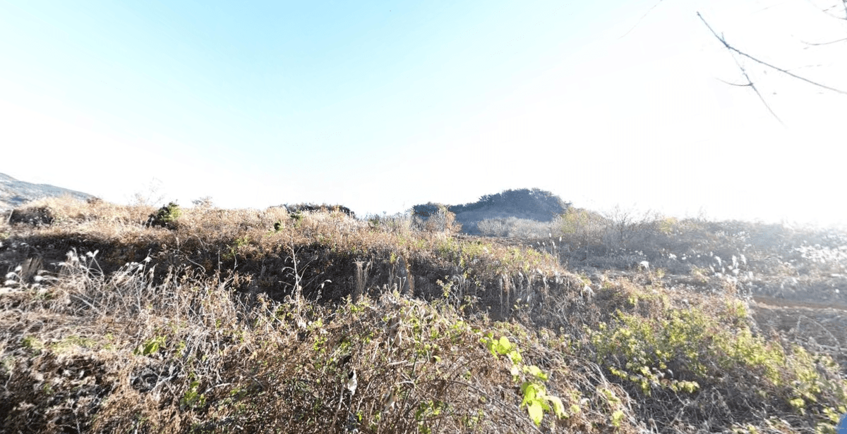 하늘동산 자연장지 사진