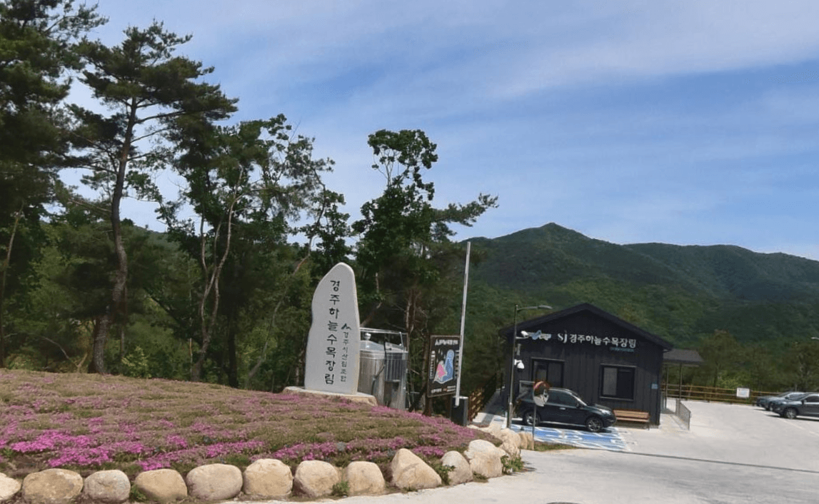 경주하늘수목장림 사진