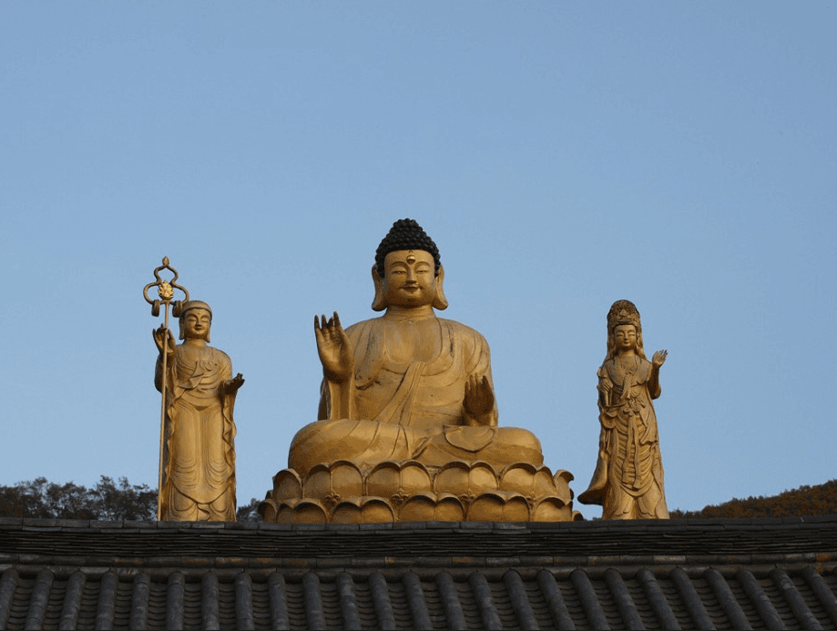 대국사 시설 사진