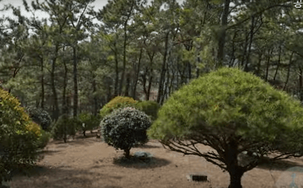 새소명교회동산 사진