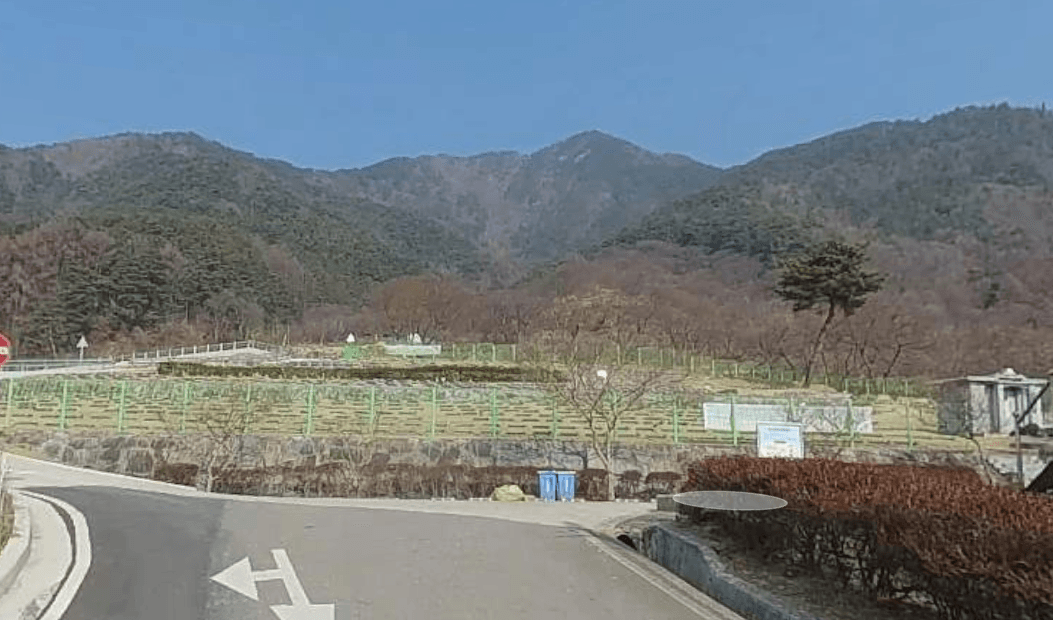 함양공설자연장지 사진