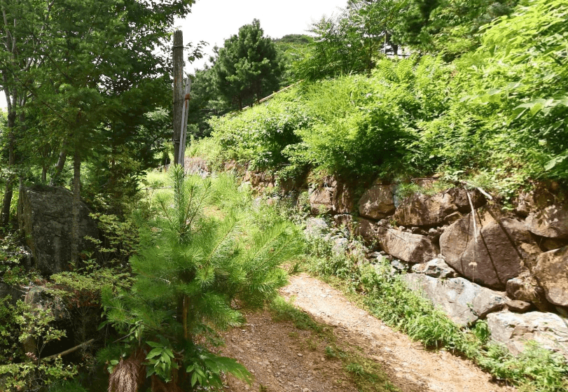 천불사 수목장 사진