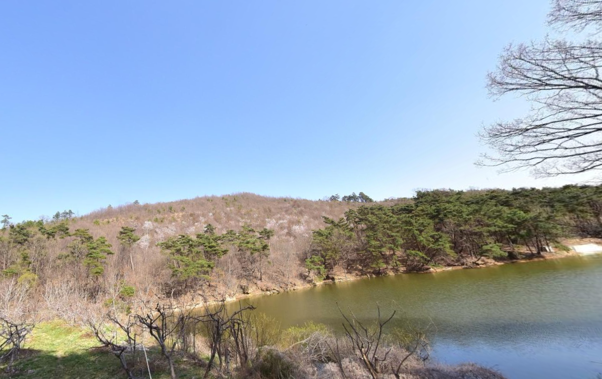 대구중앙교회 부활의동산 사진