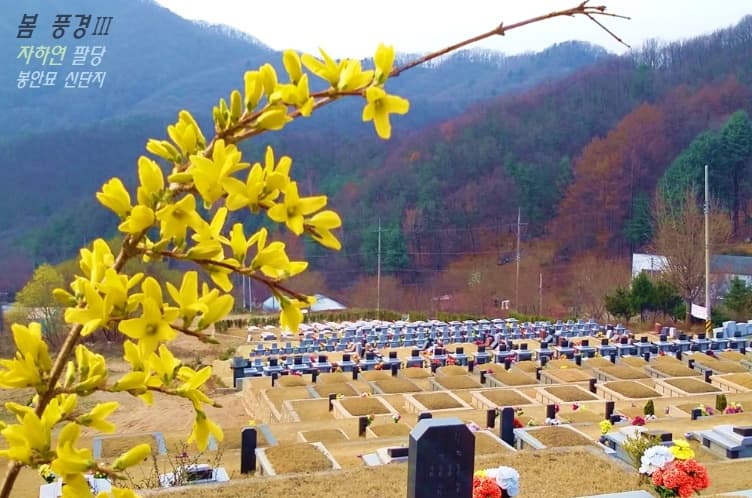 (재)자하연팔당(묘지) 시설 사진